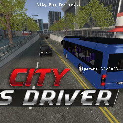 City Bus Driver
