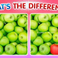 What's The Difference?