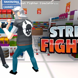 Street Fighter Simulator