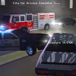 City Car Driving Simulator 3