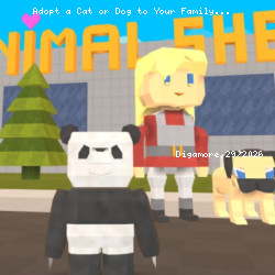 Adopt a Cat or Dog to Your Family