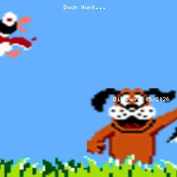 Duck Hunt