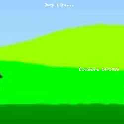 Duck Life
