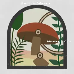 Shape Fold Nature