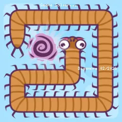Snake Solver